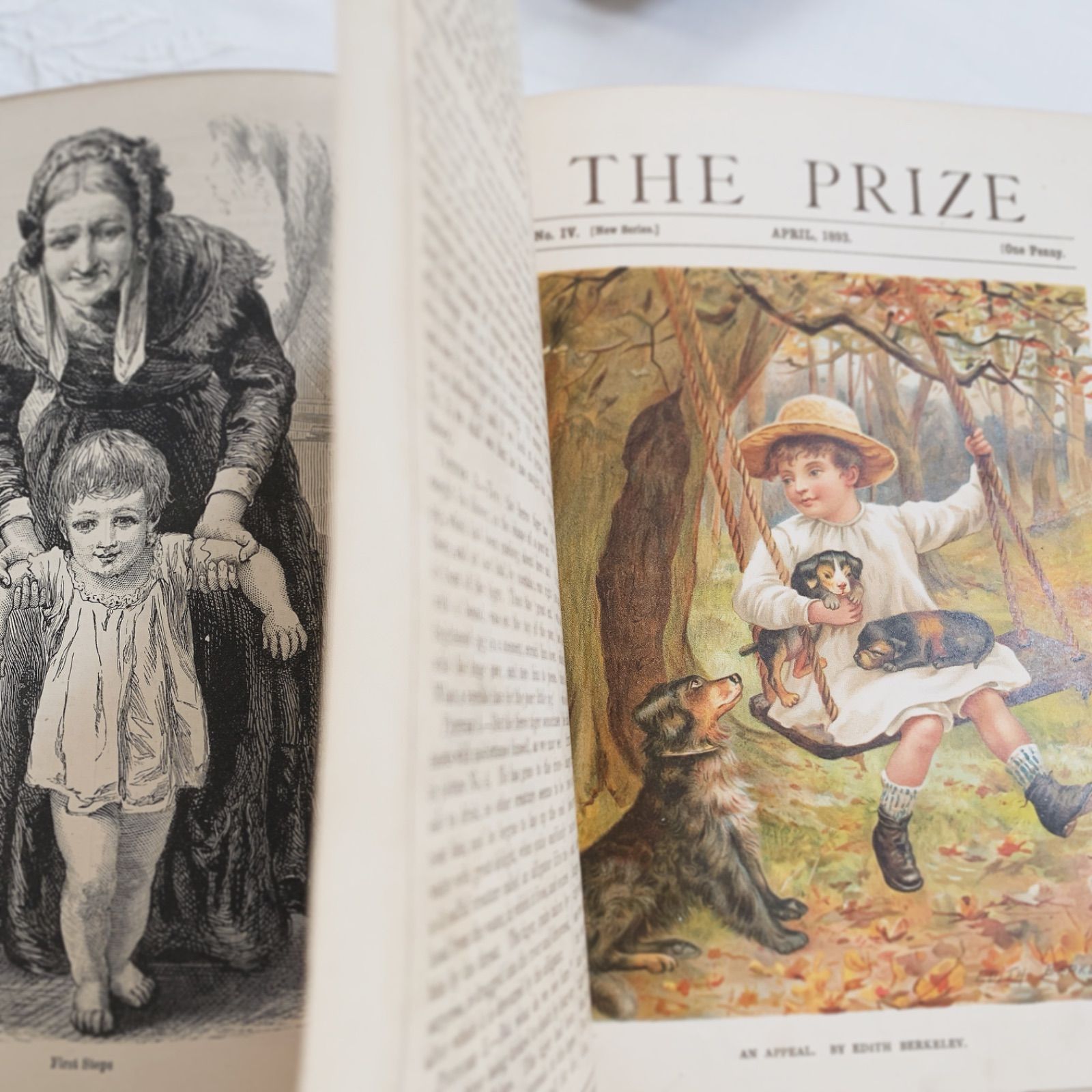 1893年 英国アンティーク児童書-美しいカラー&モノクロ挿絵を眺める