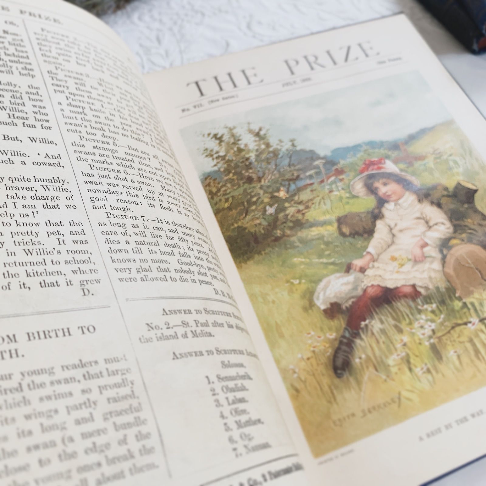 1893年 英国アンティーク児童書-美しいカラー&モノクロ挿絵を眺める