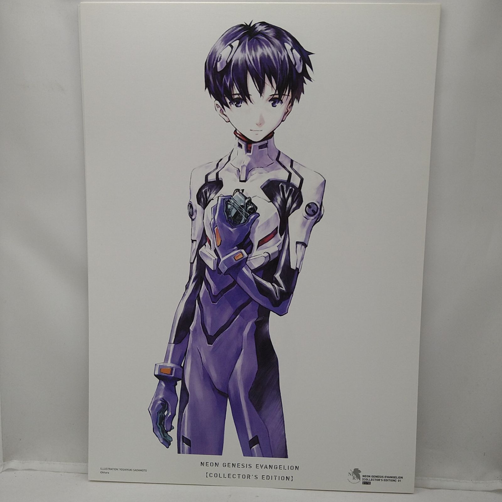 新世紀エヴァンゲリオン愛蔵版特典複製原画10枚セット 2607BXsy16