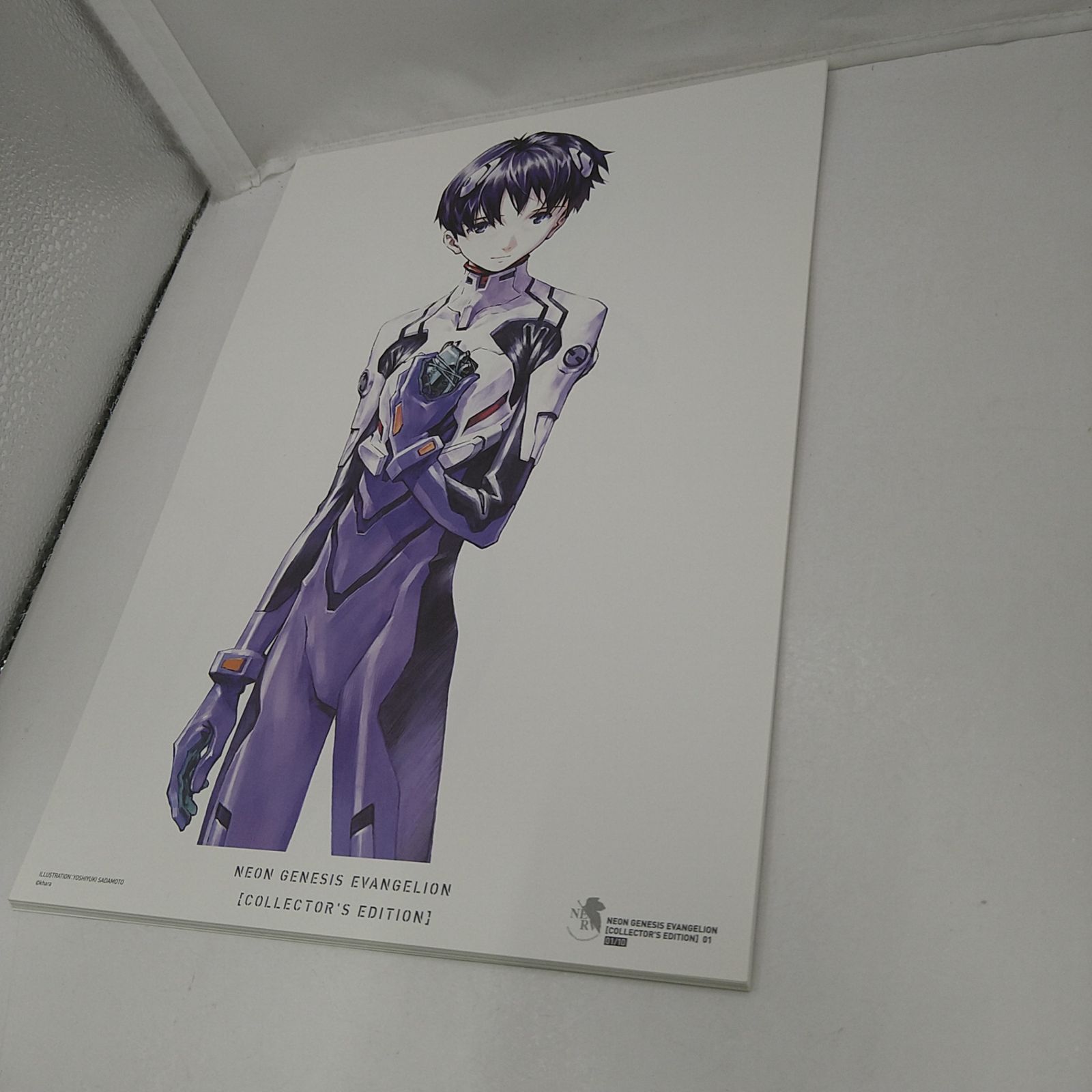 新世紀エヴァンゲリオン愛蔵版特典複製原画10枚セット 2607BXsy16