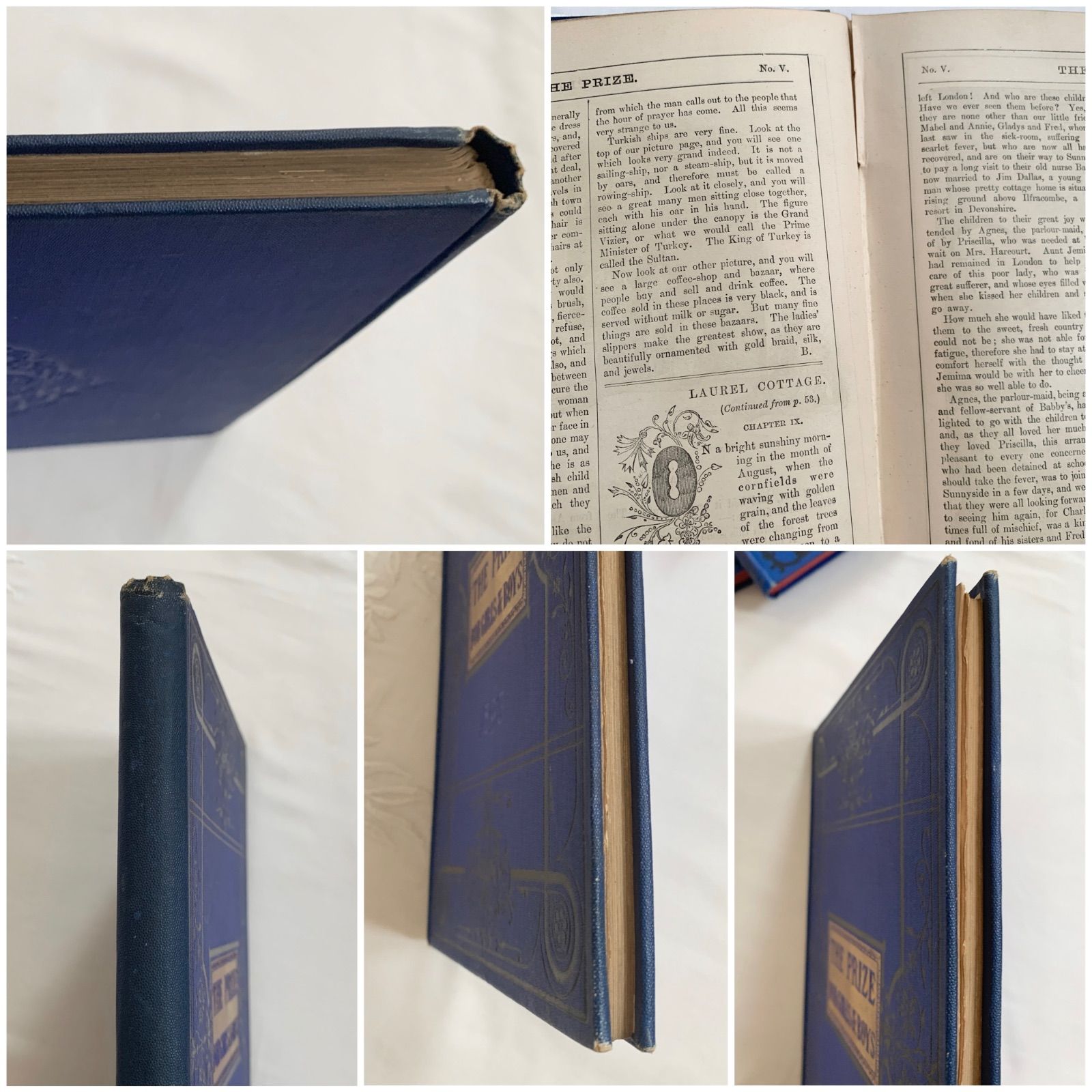 1893年 英国アンティーク児童書-美しいカラー&モノクロ挿絵を眺める