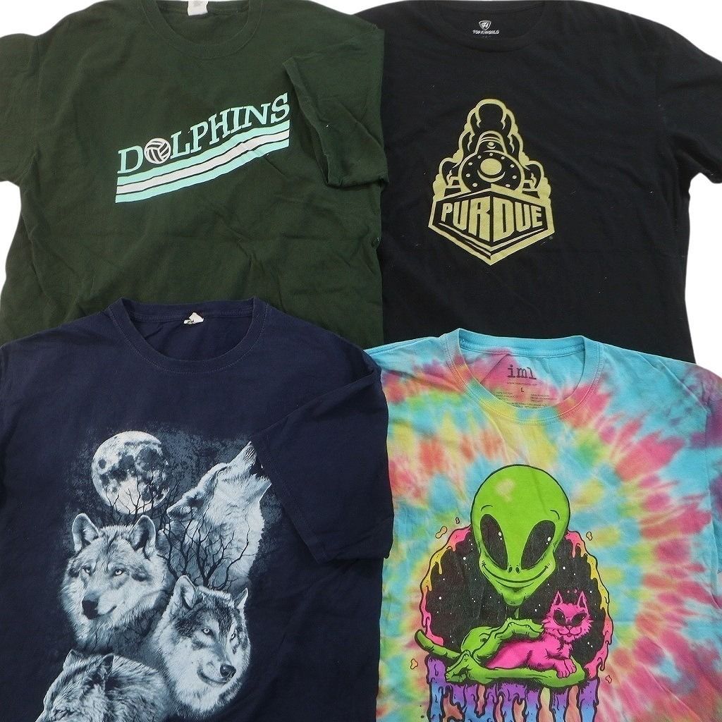古着卸 まとめ売り プリント Tシャツ 16枚セット ( メンズ L ) プロ