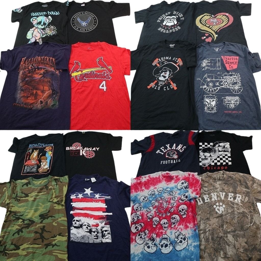 古着卸 まとめ売り プリント Tシャツ 16枚セット ( メンズ Ｍ ) スカル柄　アニマル　プロチーム  古着 NF5439