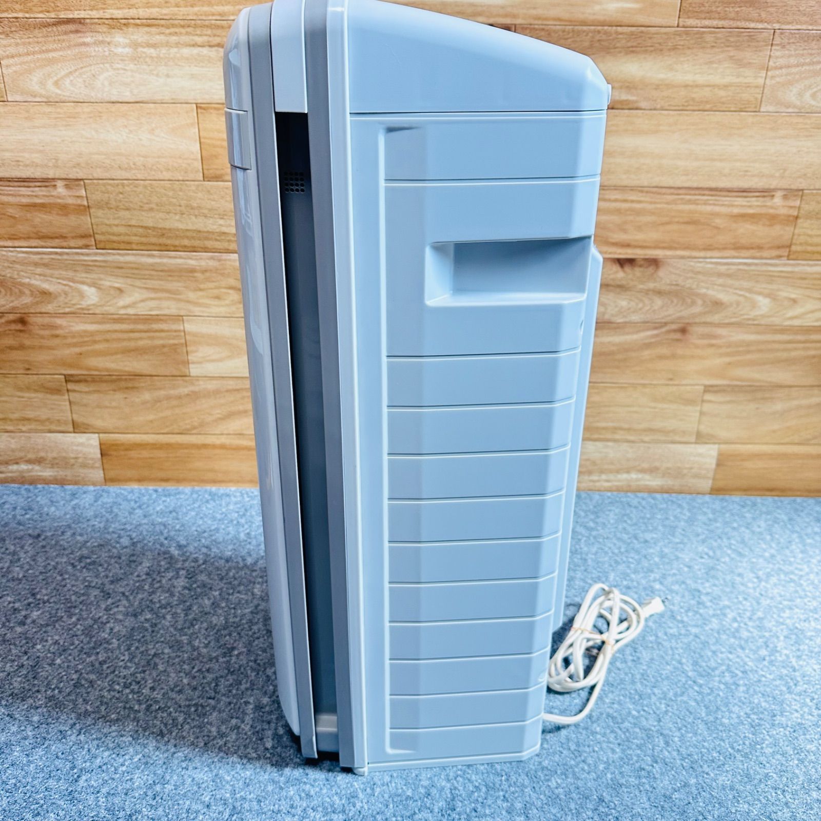 富士通ゼネラル 脱臭機 プラズィオン HDS-302G 2022年製 PLAZION