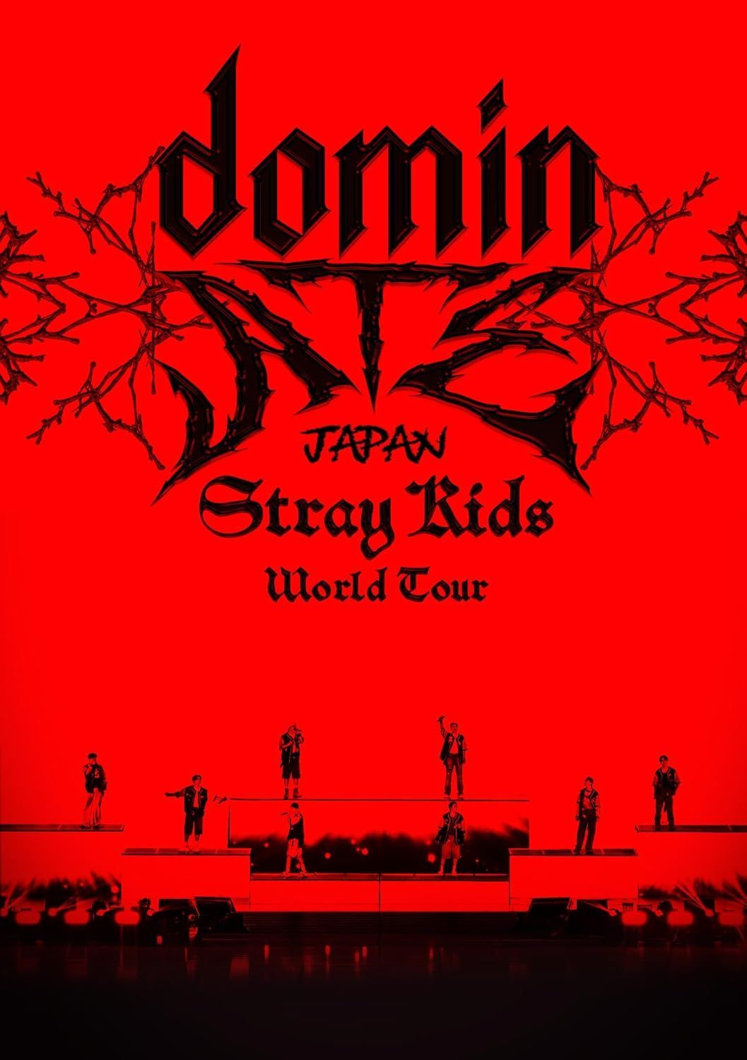 新品未開封☆ Stray Kids World Tour ＜dominATE JAPAN＞ (通常盤