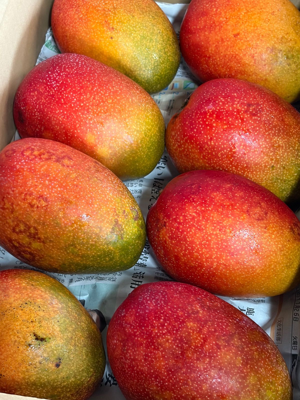 鹿児島県産　完熟マンゴーB品　アーウィン種　M〜Lサイズ　8玉　e 鹿児島県産マンゴー 8玉約4kg ご家庭用 クール便 - メルカリ
