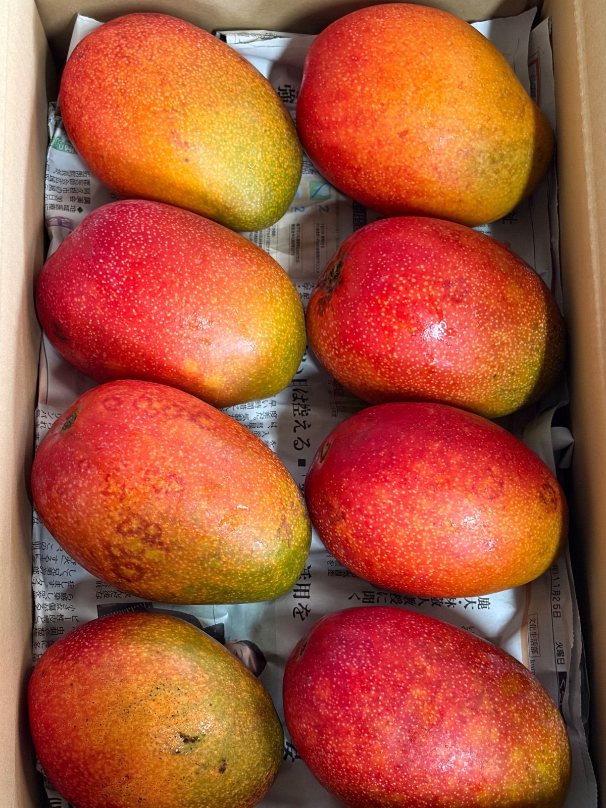 鹿児島県産マンゴー 8玉約4kg ご家庭用 クール便 - メルカリ