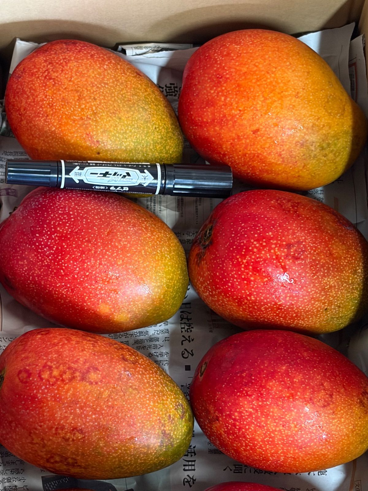 鹿児島県産マンゴー 8玉約4kg ご家庭用 クール便 - メルカリ