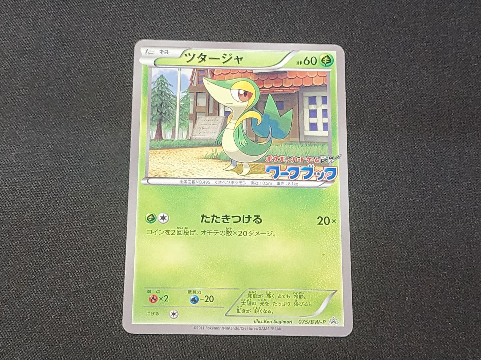 PC ポケモンカード BW御三家 ツタージャ 075/BW-P ポカブ 076/BW-P