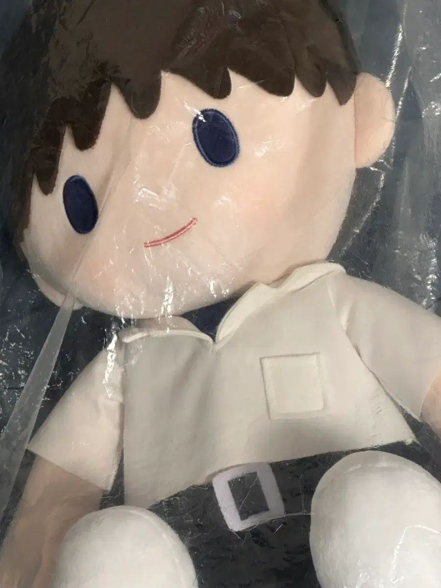 未開封 エヴァンゲリオン 碇 シンジ ぬい 大型
