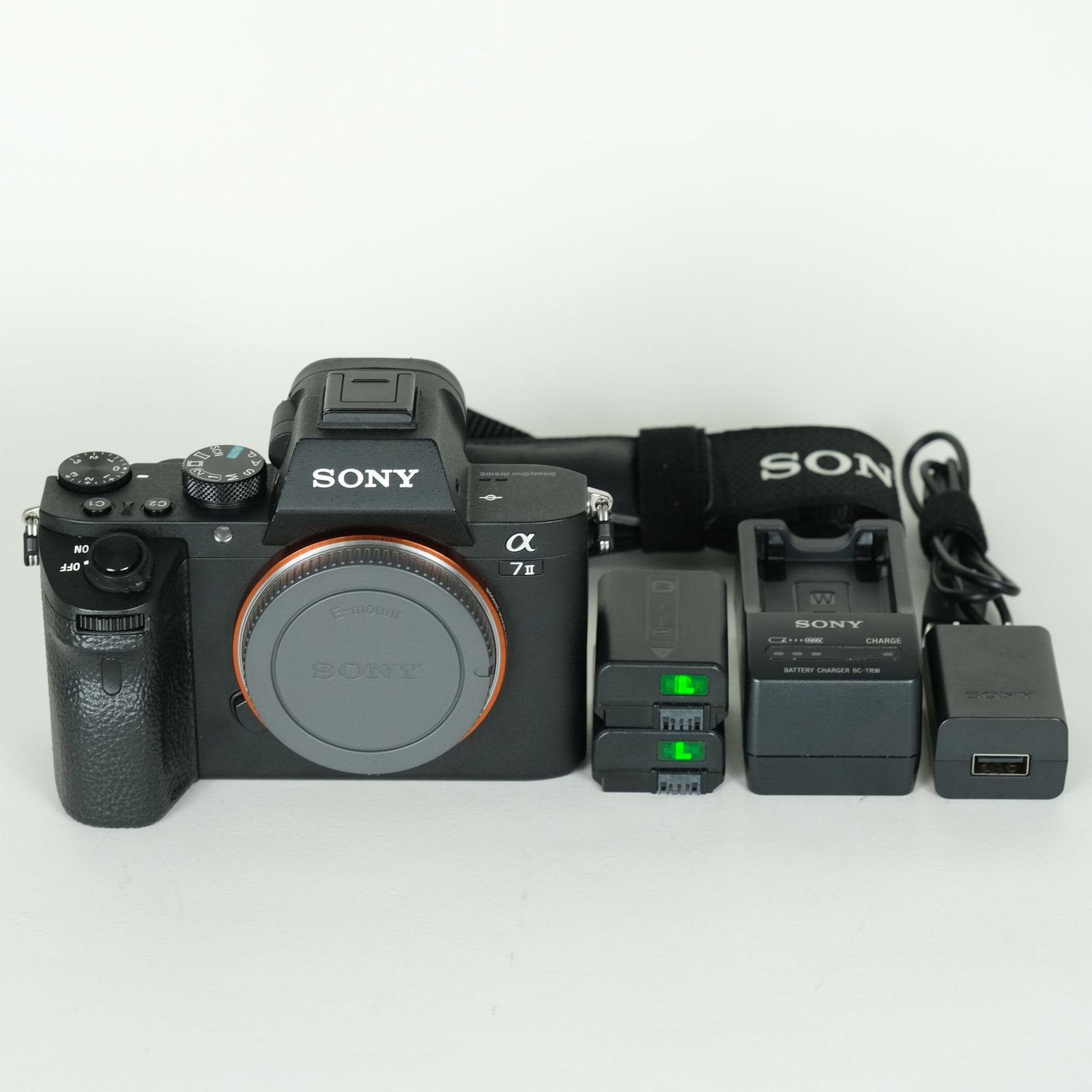 良品 | シャッター数10,796回｜バッテリー2個・チャージャー付] SONY