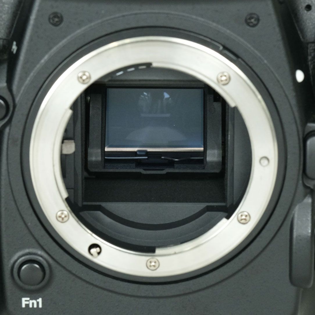 美品 | シャッター数31,188回] Nikon D500 [ボディ] | Nikon Fマウント