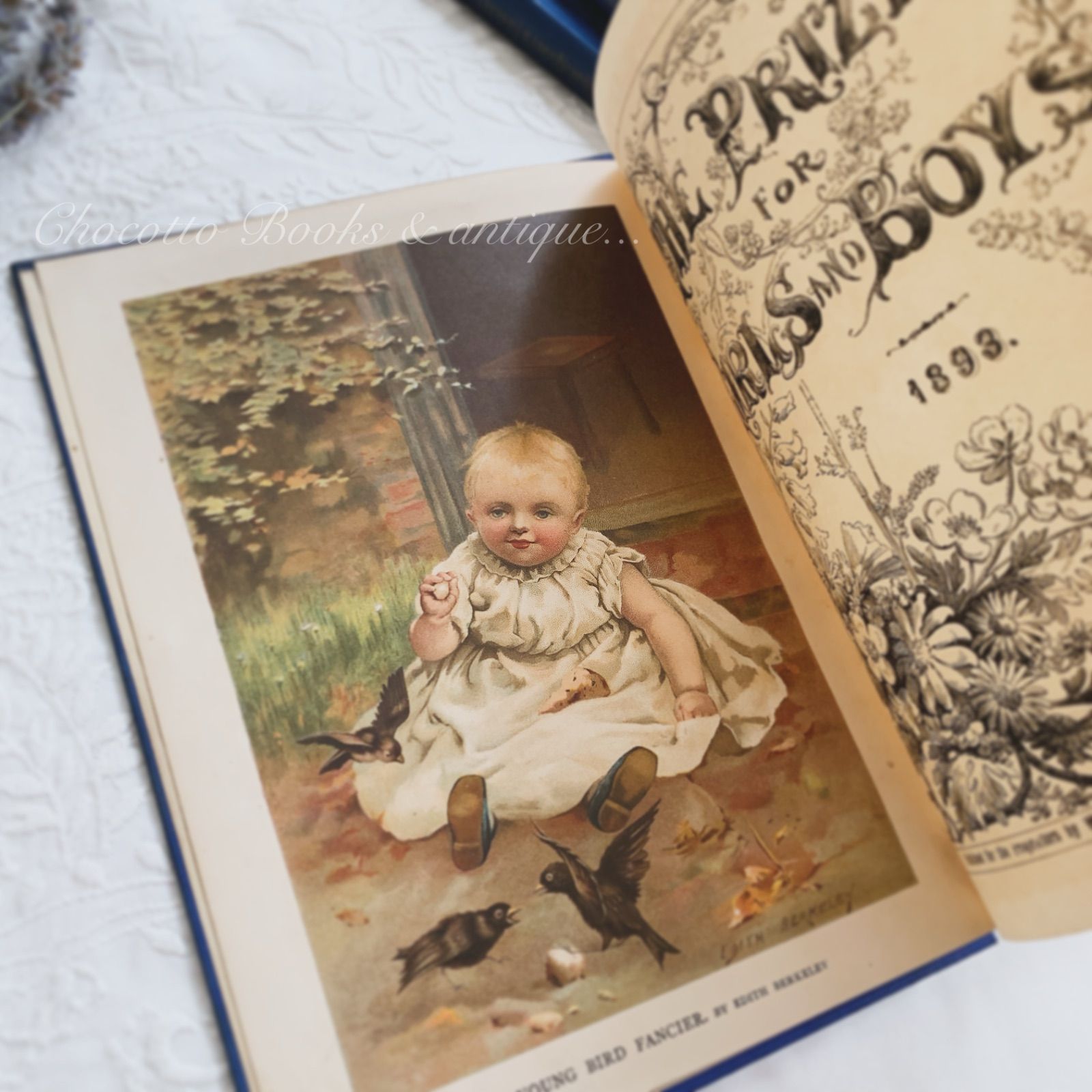 1893年 英国アンティーク児童書-美しいカラー&モノクロ挿絵を眺める