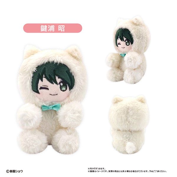 佐々木と宮野 ぴたぴたたぴぬい 鍵浦昭 ぬいぐるみ ささみゃー 新品 未