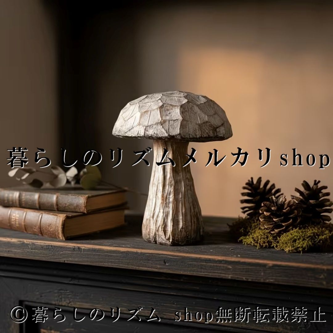 DVD サンハウス / 風よ吹け DVD