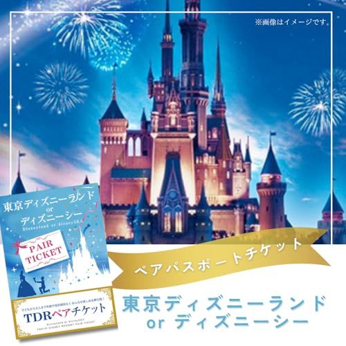 東京ディズニーランド 記念パスポート 東京ディズニーランド／ディズニーシー ペアパスポートチケット 有効