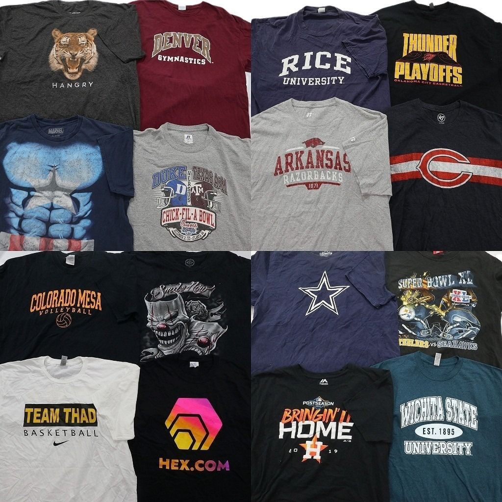 古着卸 まとめ売り プリント Tシャツ 16枚セット ( メンズ XL ) アニマル　英文字プリント　スポーツＴ 中古 古着 NF5390