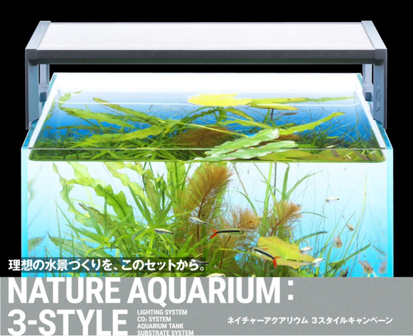 ADA キューブガーデン W300×D300×H300mm セット - メルカリ