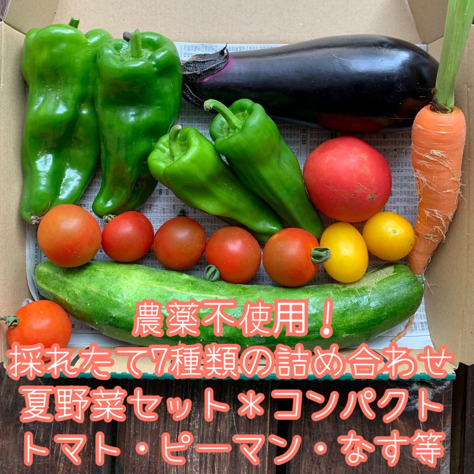 農薬不使用！採れたて7種類の詰め合わせ＊夏野菜セット＊コンパクト 