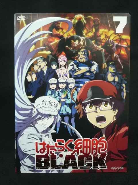 ys0326 レンタルUP・DVD はたらく細胞 BLACK 全7巻 ※ケース無 - メルカリ