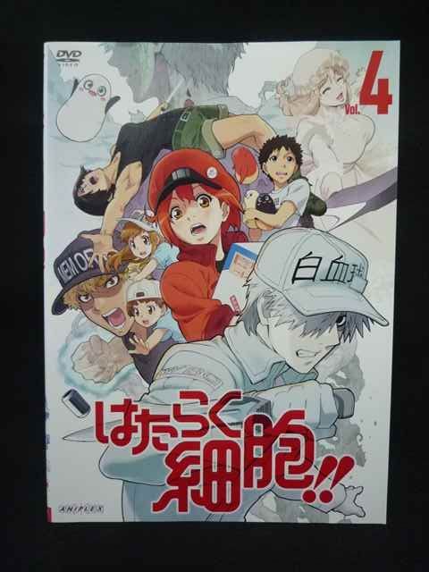 ys0326 レンタルUP・DVD はたらく細胞!!(第2期) 全4巻 ※ケース無