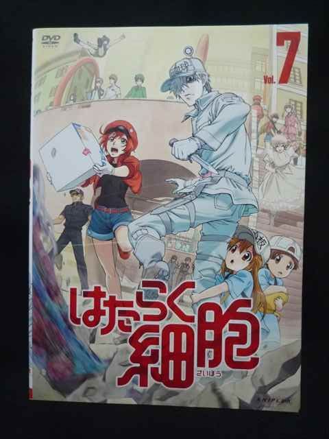 ys0326 レンタルUP・DVD はたらく細胞(第1期) 全7巻 ※ケース無 - メルカリ