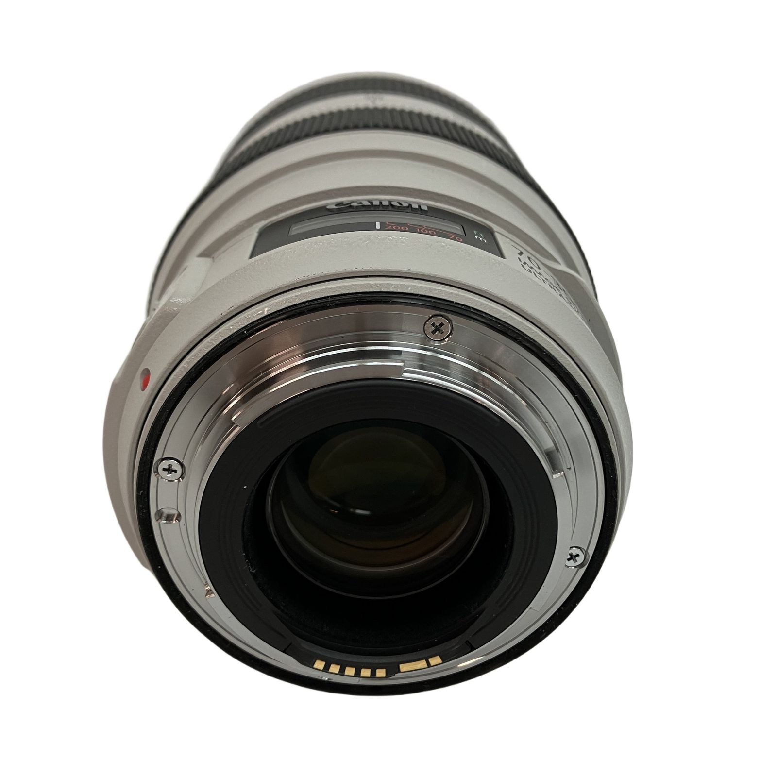 Canon EF 70-300mm F4-5.6L IS USM 望遠 ズームレンズ キヤノン 中古