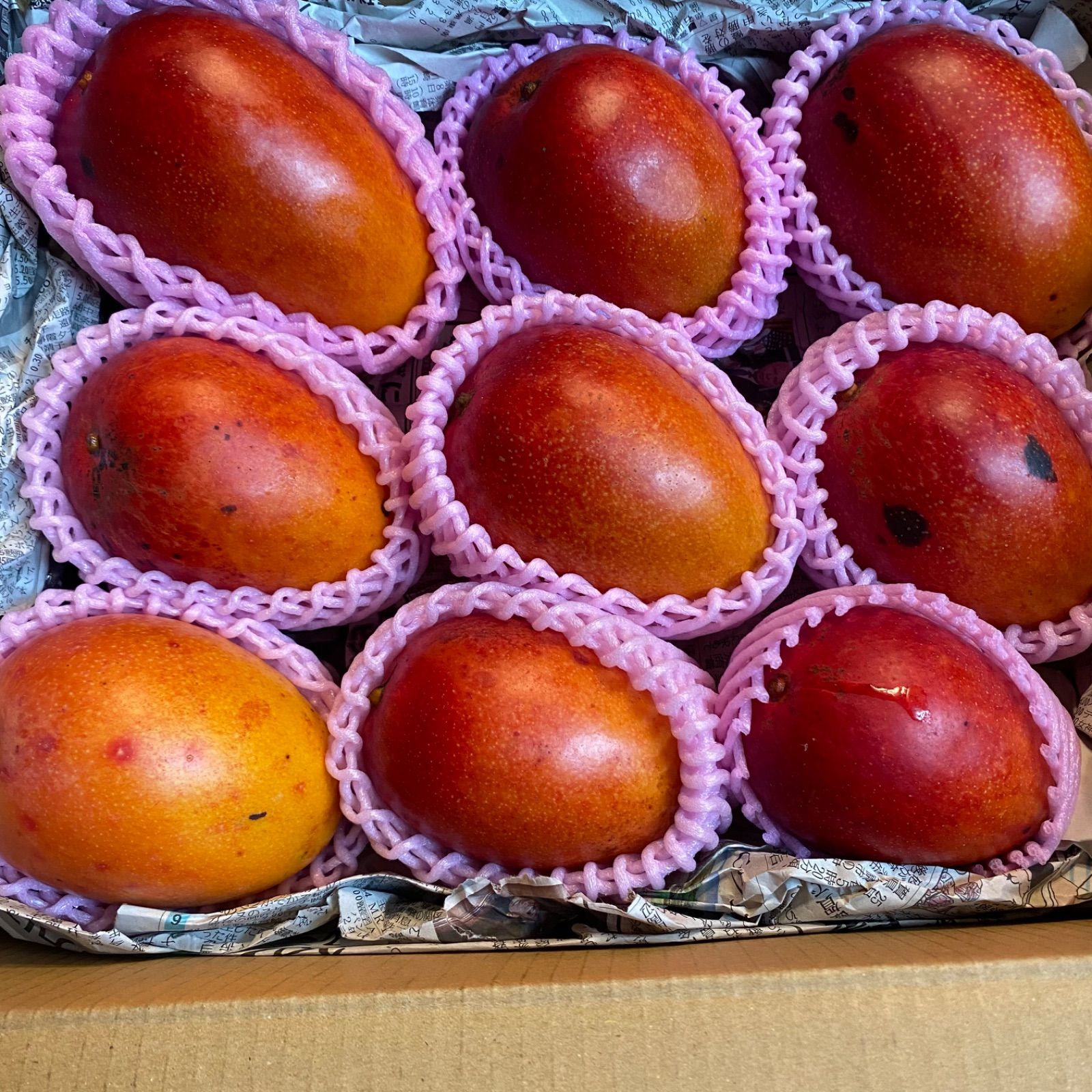 訳あり宮崎完熟マンゴー9玉 約3.2kg - メルカリ