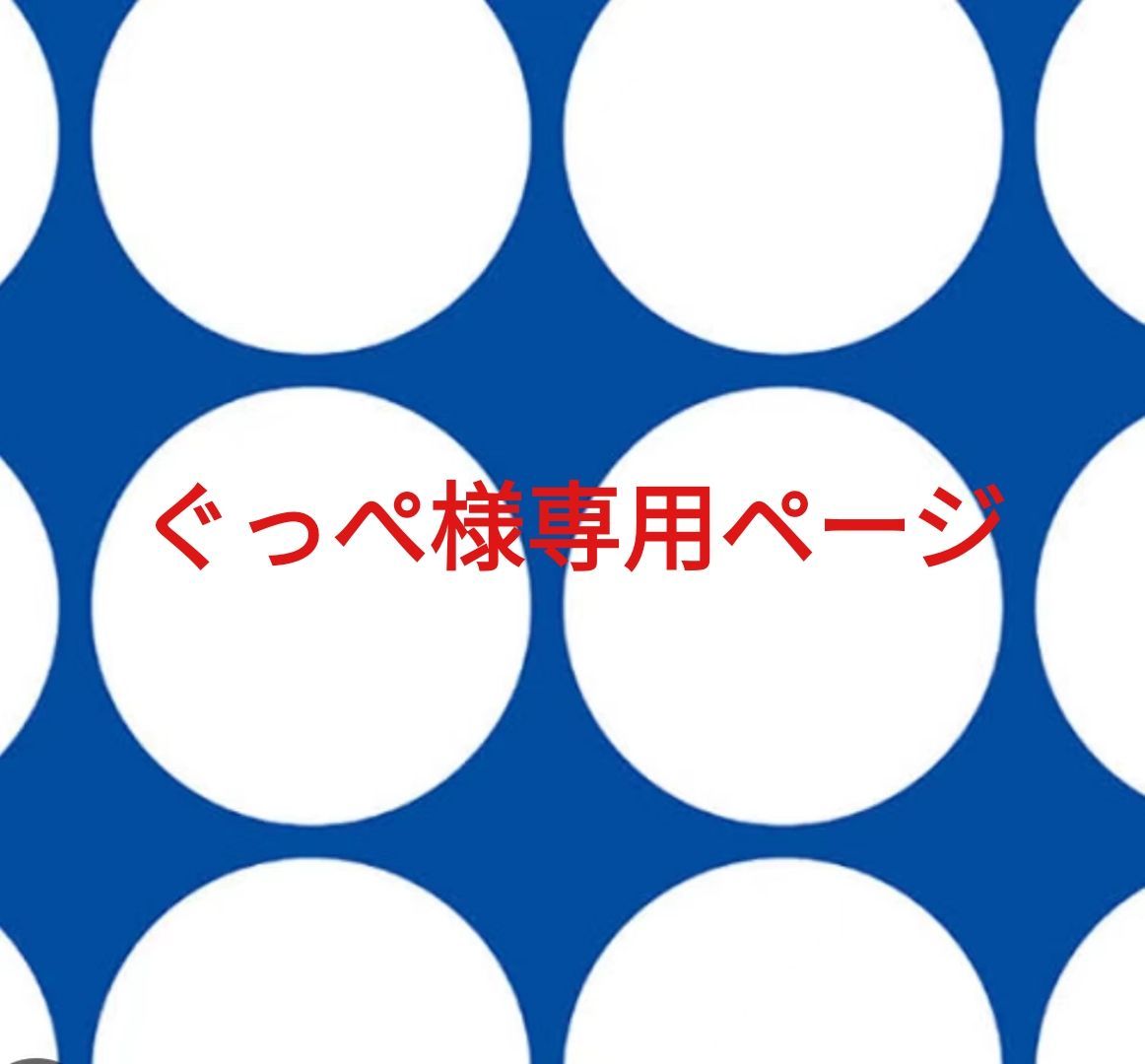 がり様◆ご確認用 専用ページ 専用ページ 専用ページ｜Yahoo!フリマ（旧PayPayフリマ）