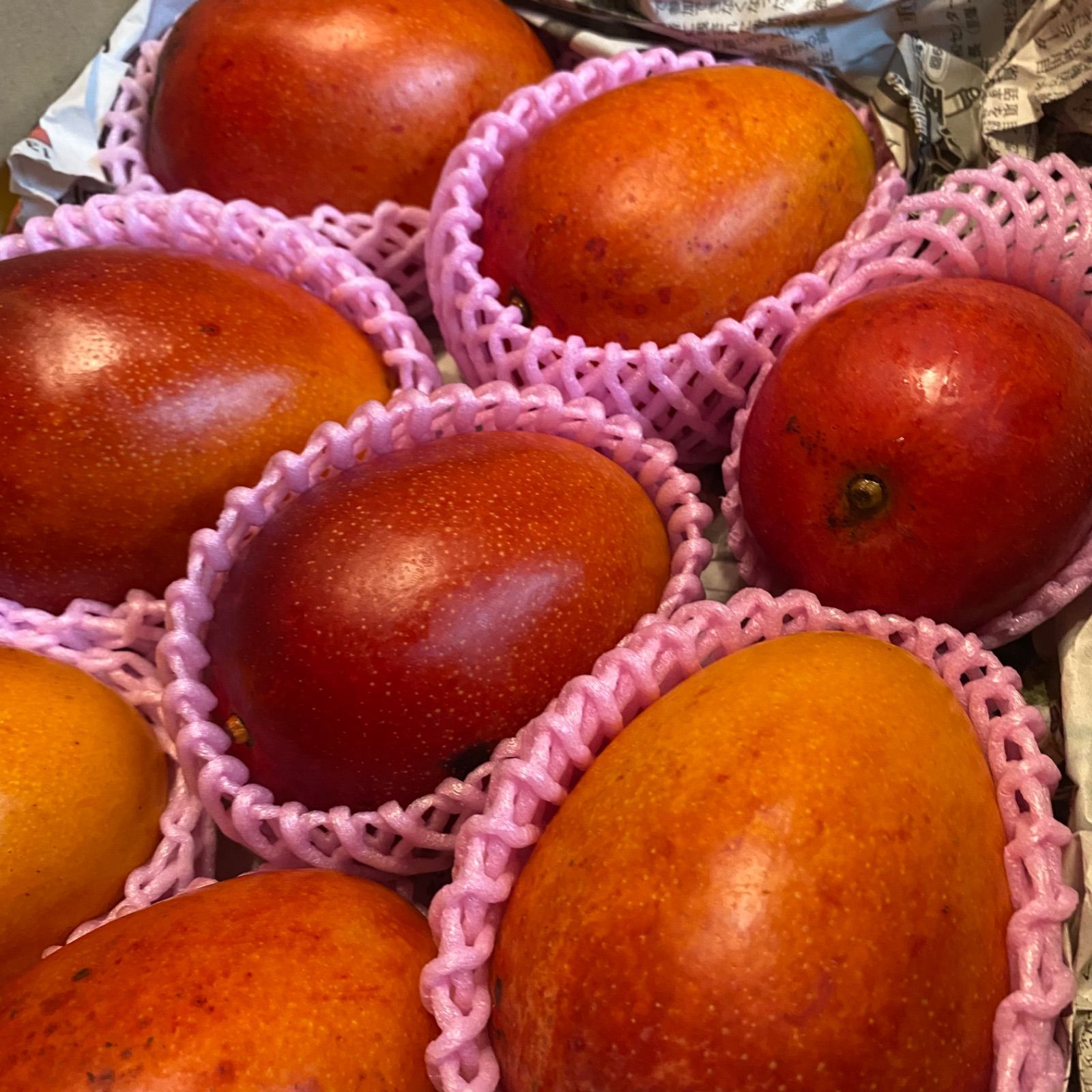 訳あり宮崎完熟マンゴー 8玉 3.1kg - メルカリ