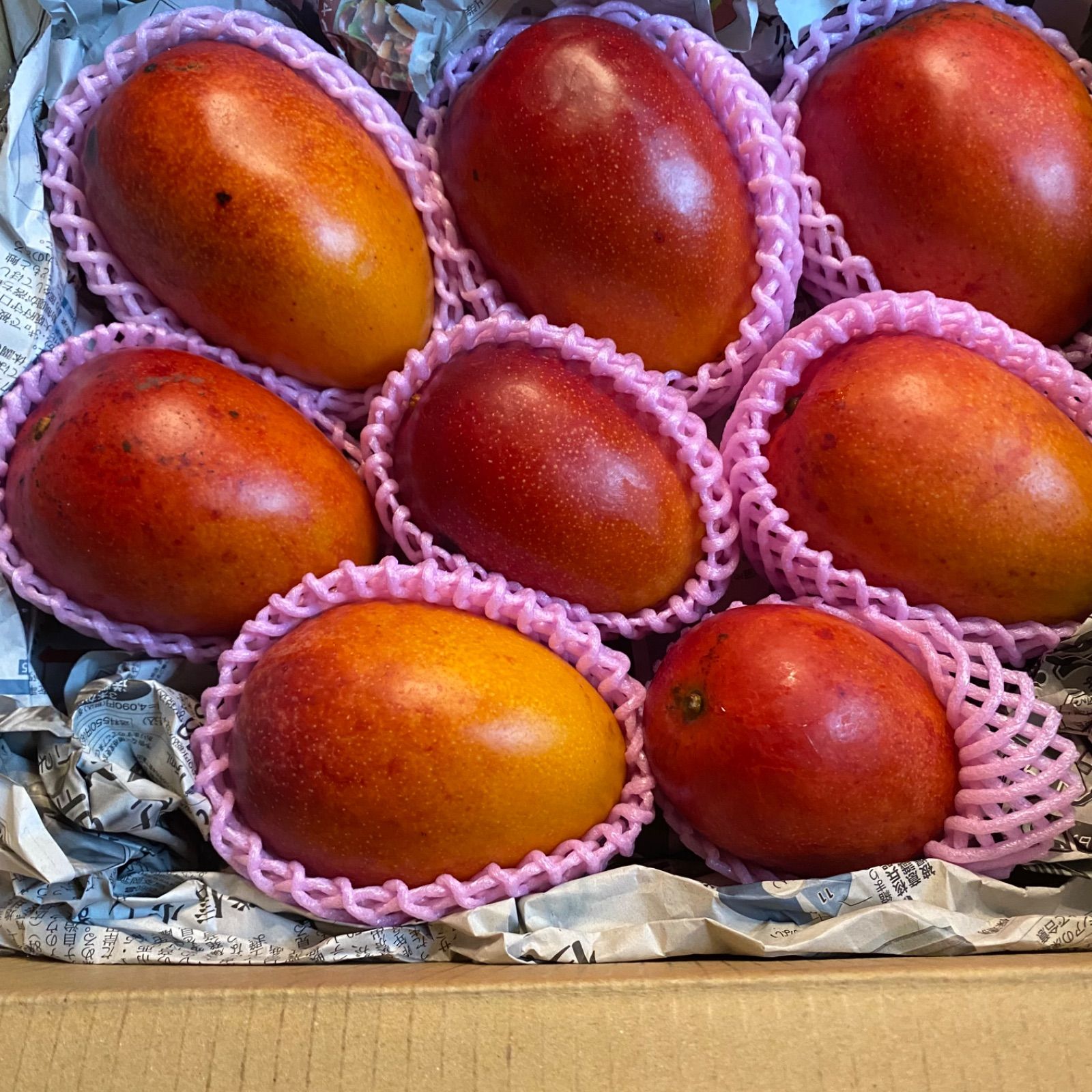 訳あり宮崎完熟マンゴー 8玉 3.1kg - メルカリ