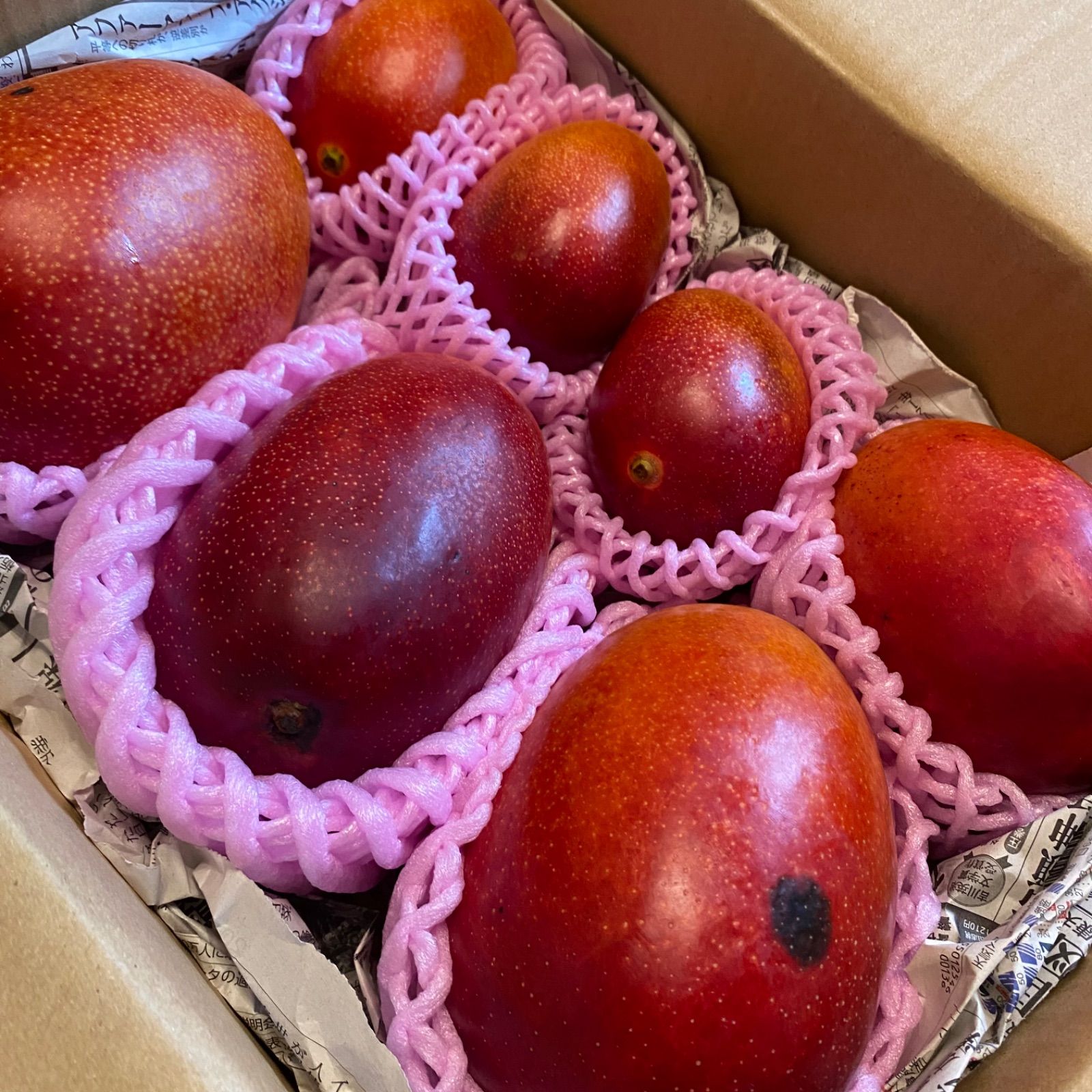 訳あり宮崎完熟マンゴー6玉約3kg 旬の味覚 - メルカリ
