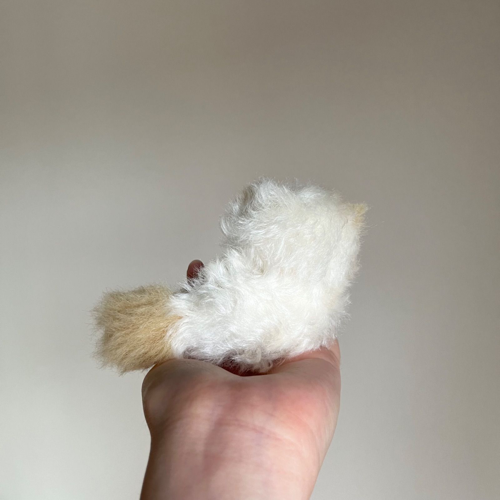 とけそうな、ねこ ( 淡い茶色と白の子 ) Cora 猫 ぬいぐるみ 作家