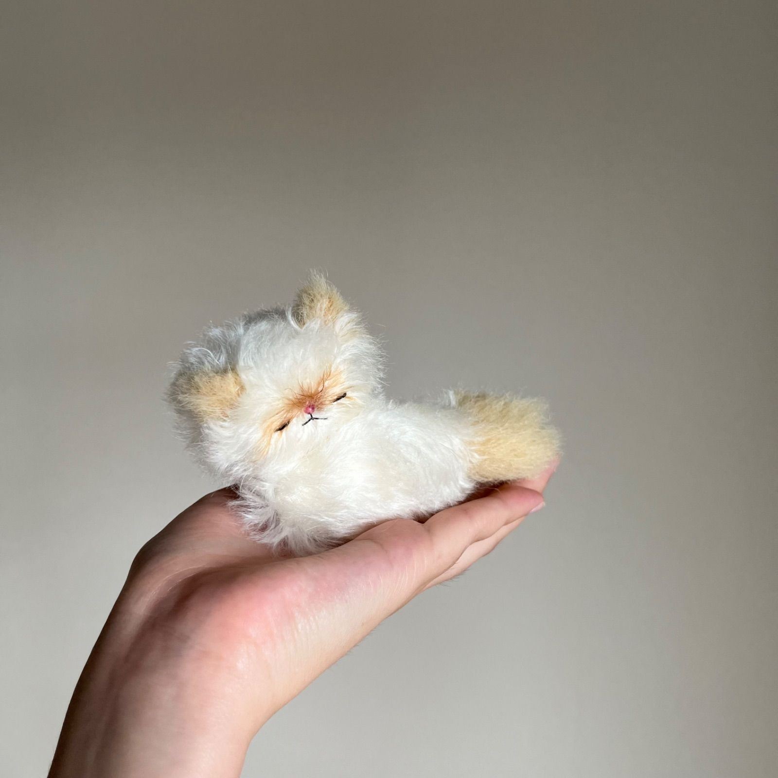 とけそうな、ねこ ( 淡い茶色と白の子 / すやぁ中 ) Cora 猫