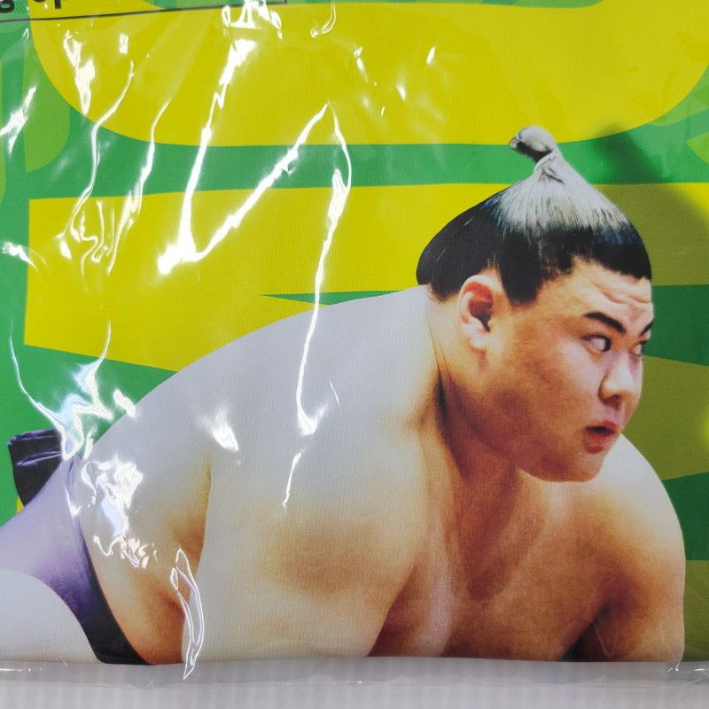 未使用品】 大相撲 2025年 草野 三賞記念Tシャツ 敢闘・技能賞 XL 義ノ