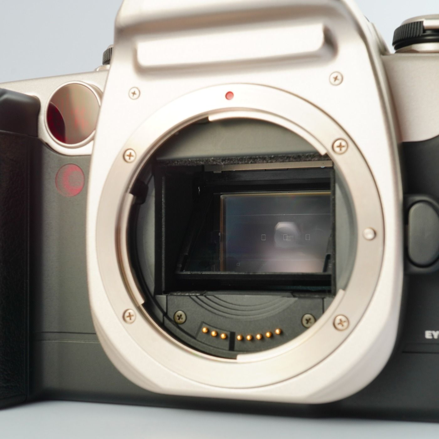 Canon キヤノン EOS 55 (ELAN II) Gold AF フィルム一眼レフカメラ
