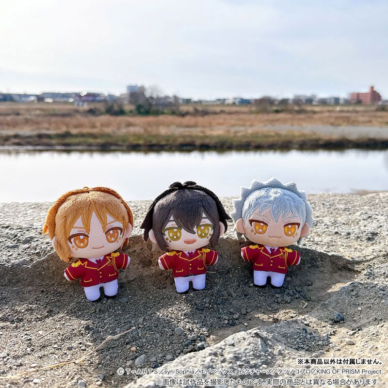 KING OF PRISM ぬいパル ぬいぐるみマスコット 速水ヒロ キンプリ