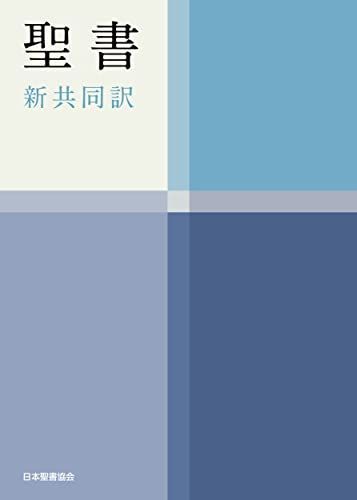 Medium Handy Bible New Joint Translation NI34H