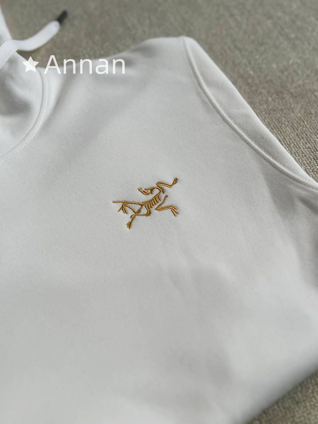 【超極上美品】 美品 新品 タグ付 ARC'TERYX アークテリクス パーカー シンプルフード付きパーカー ユニセックス