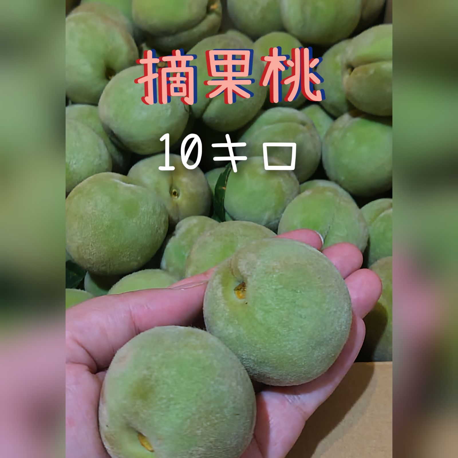 摘果桃 12kg 摘果桃 12kg 摘果桃12kg（1kg4〜6） 摘果桃 12kg （1kg4