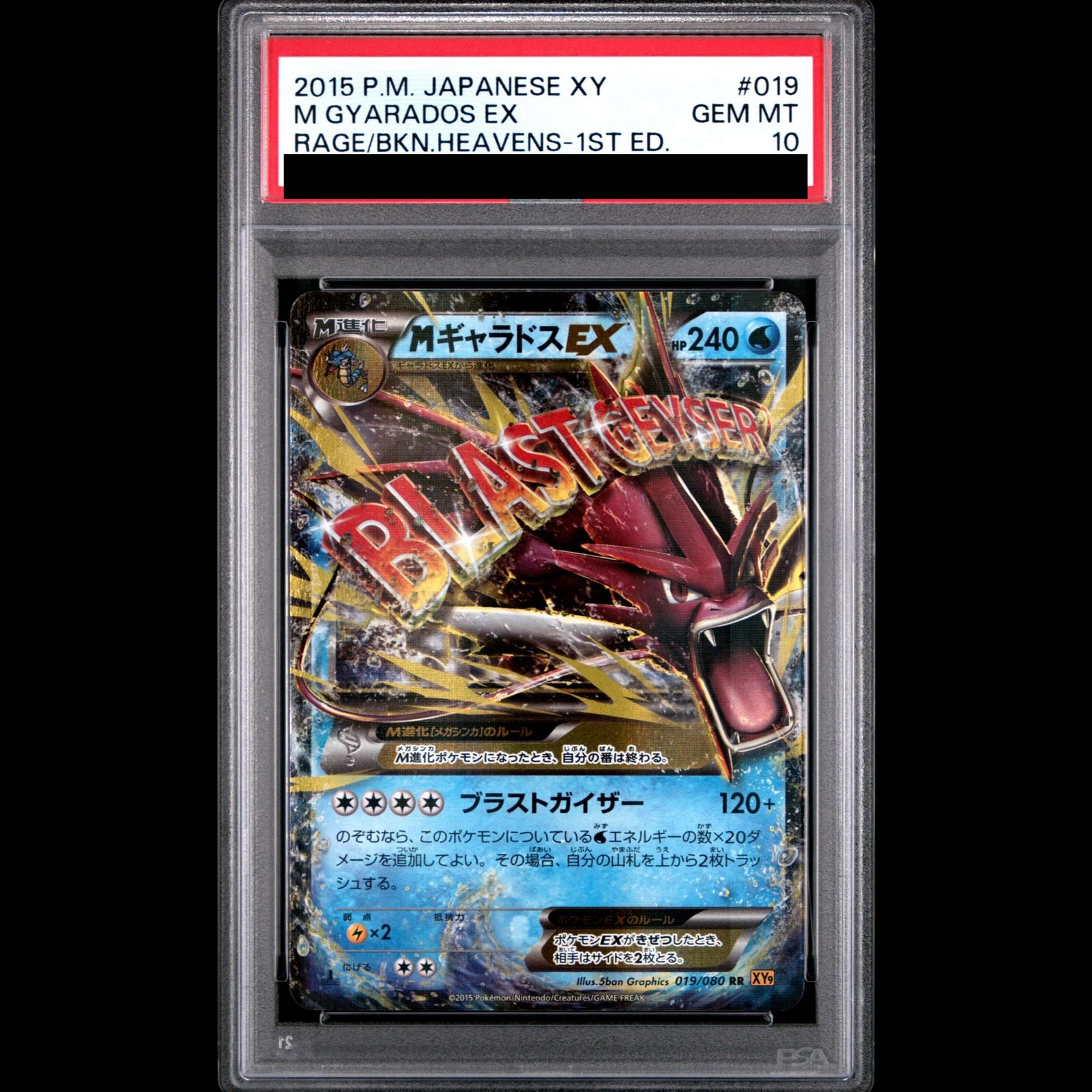 PSA10】MギャラドスEX RR 019/080 1枚 - メルカリ
