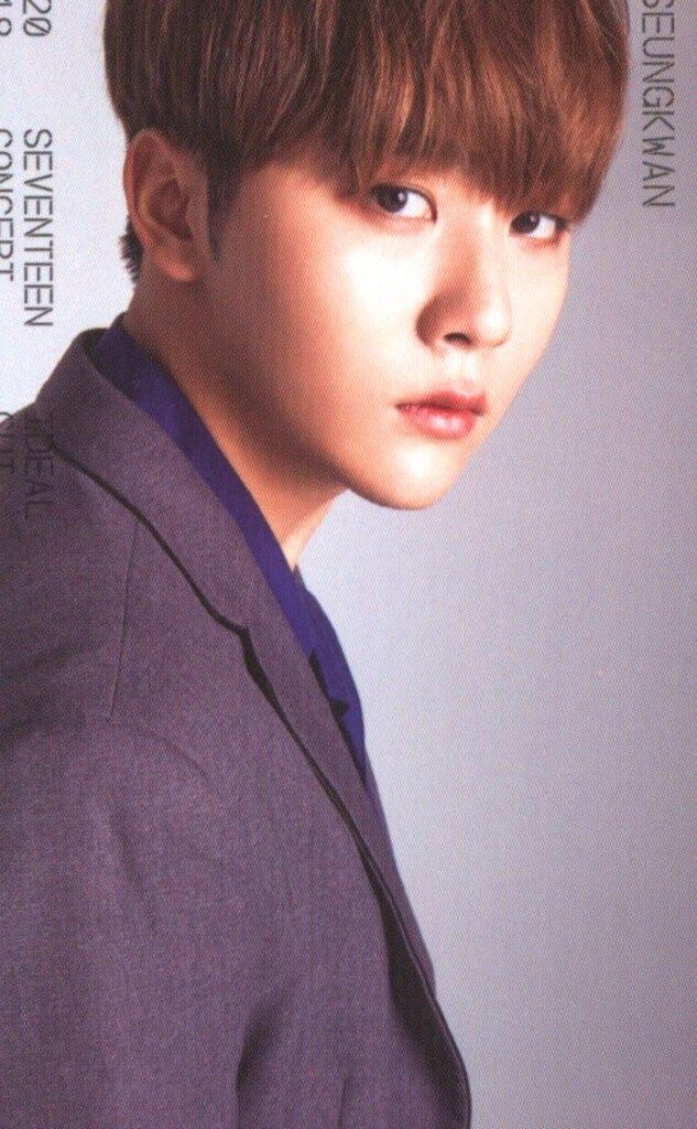 SEVENTEEN 2018 IDEAL CUT IN SEOUL SEUNGKWAN トレーディングカード