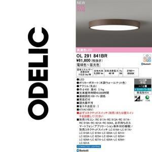 オーデリック ODELIC ダウンライト 商品紹介 | LEDダウンライト LED