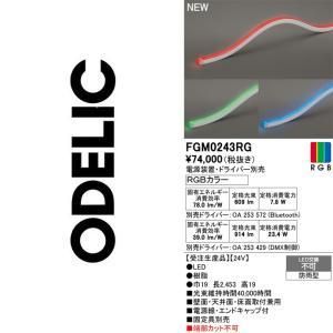 【新品・5営業日で発送】ODELIC オーデリック LED間接照明 FGM0243RG