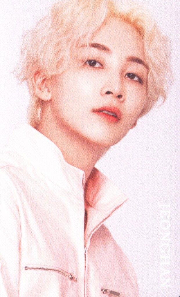 SEVENTEEN 2019 ODE to You IN JAPAN JEONGHAN トレーディングカード