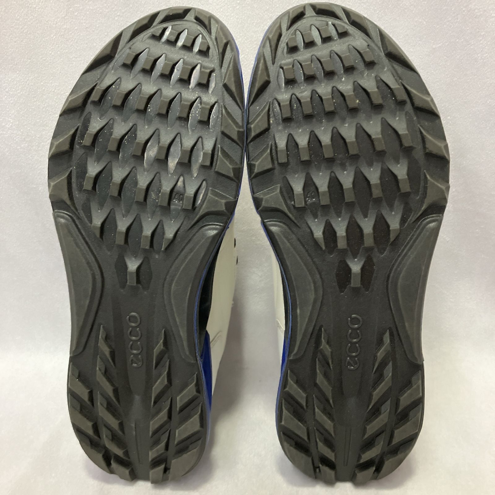 ECCO BIOM C4 BOA 40 約25㎝ 雨用等に！ ECCO BIOM C4 |