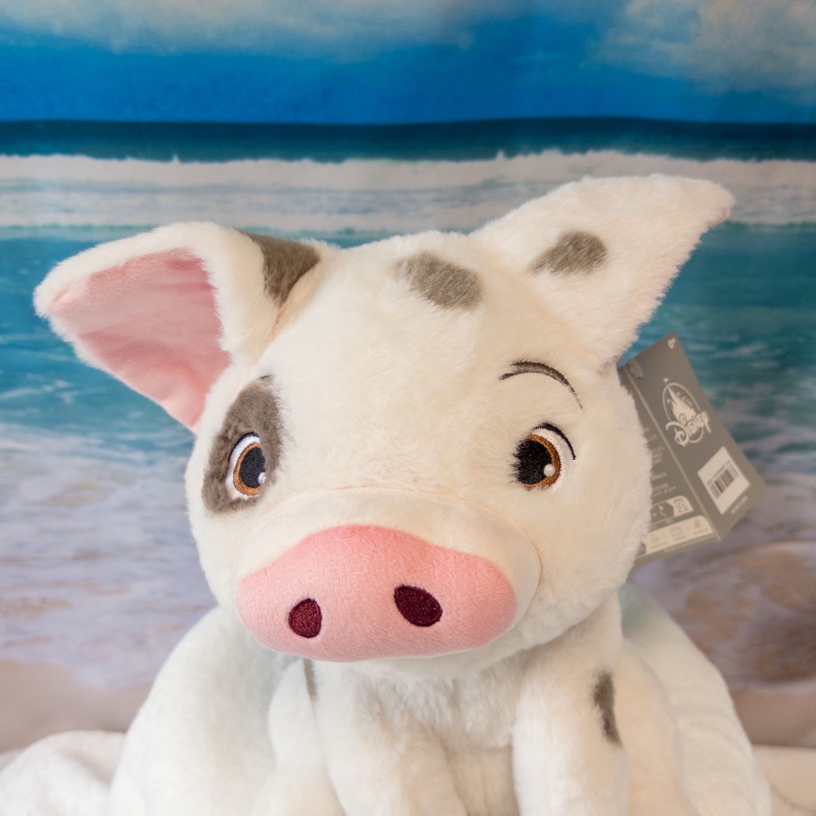 モアナと伝説の海【プア】ぬいぐるみ33㎝ USディズニーストア公式 新品