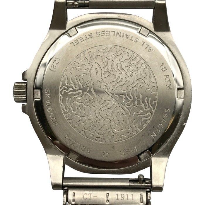 メンズ SKAGEN スカーゲン FISK 腕時計 メンズ アナログ クォーツ