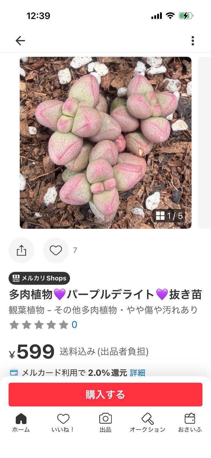 確認用❤️他の方はお買い上げになりませんようお願いします。次回発送