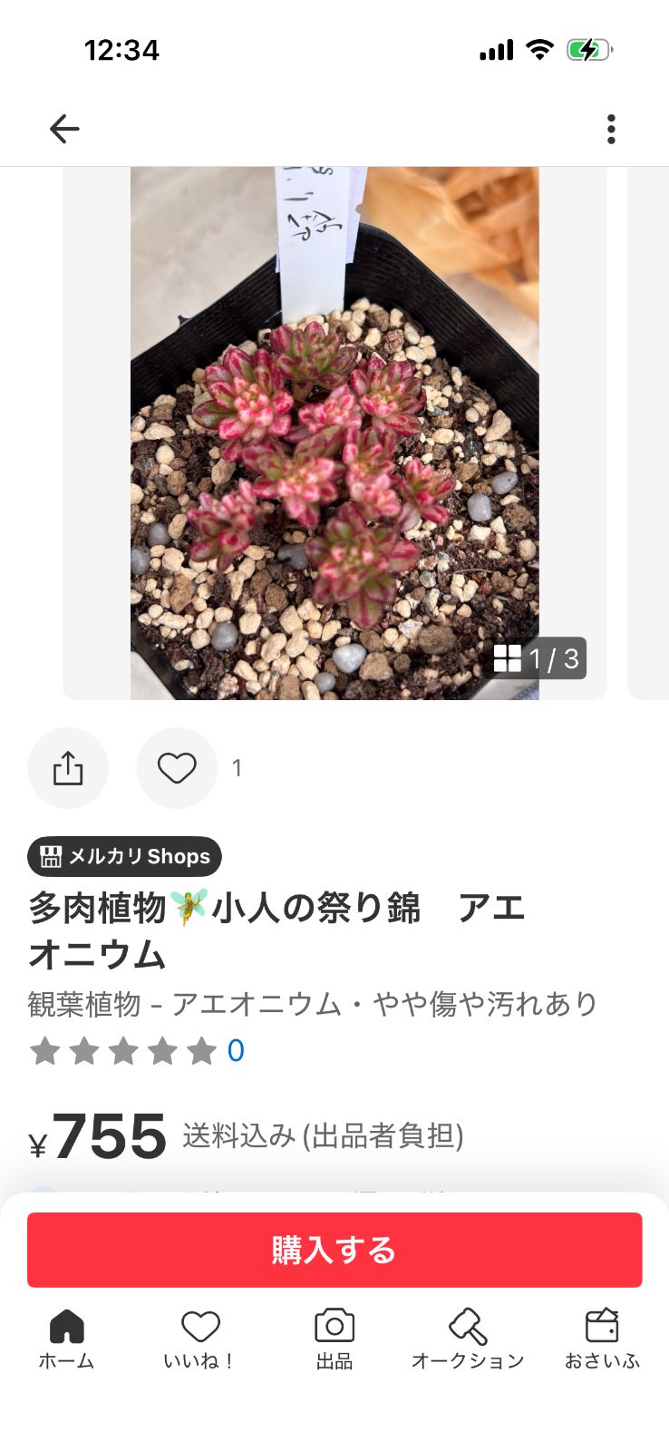 確認用❤️他の方はお買い上げになりませんようお願いします。次回発送